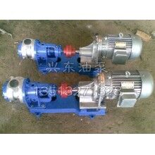 廣西興東高溫油泵制造廠(chǎng)加工圓弧泵現(xiàn)貨供應(yīng)