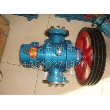 河北興東高溫油泵制造廠(chǎng)價(jià)直營(yíng)螺桿泵實(shí)力商家