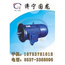 YBS(DSB，JDSB)電機