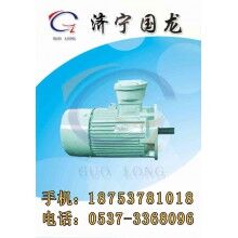 供應(yīng)2015福建YBK2電機