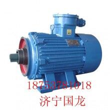 YBJ系列礦用絞車電機