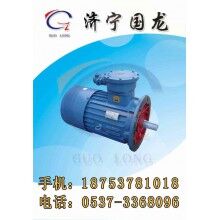 YBB系列耙斗裝巖機電機