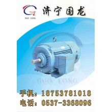 YVF2系列變頻調(diào)速三相異步電動機