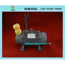 威猛YZS系列振動電機(jī)YZS-20-2